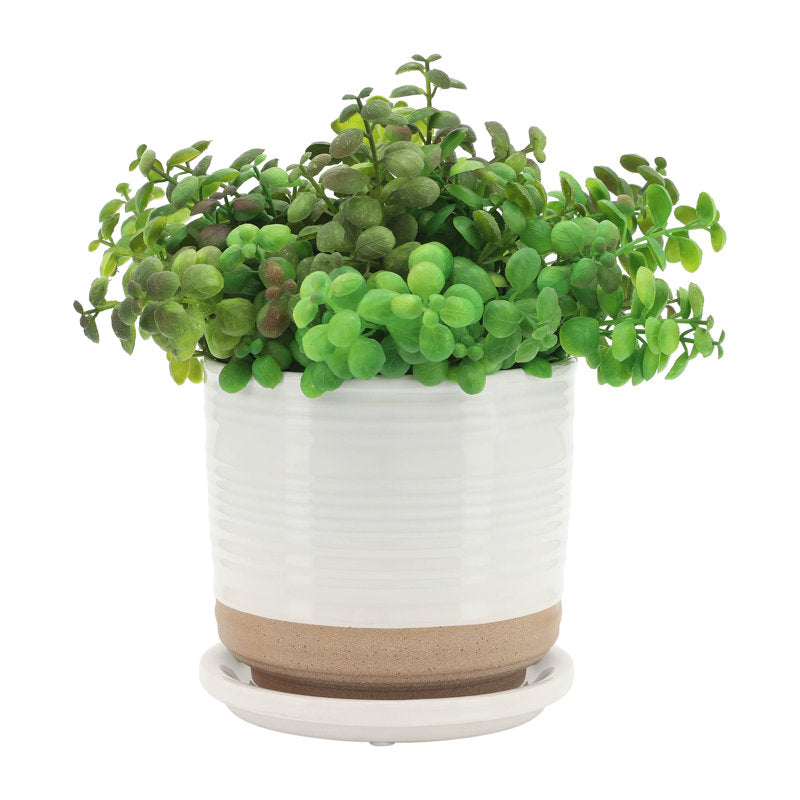2 Piece Set 4.5"H 4.5" Diameter/5.5"H 6" Diameter Vertical Striped  White Ceramic Planters with Sand Color Base and Saucer for Home or Office