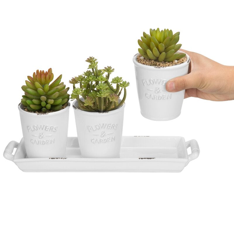 Abrien Ceramic Pot Planter