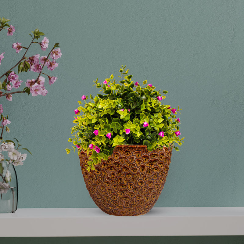 Amirali Ceramic Pot Planter