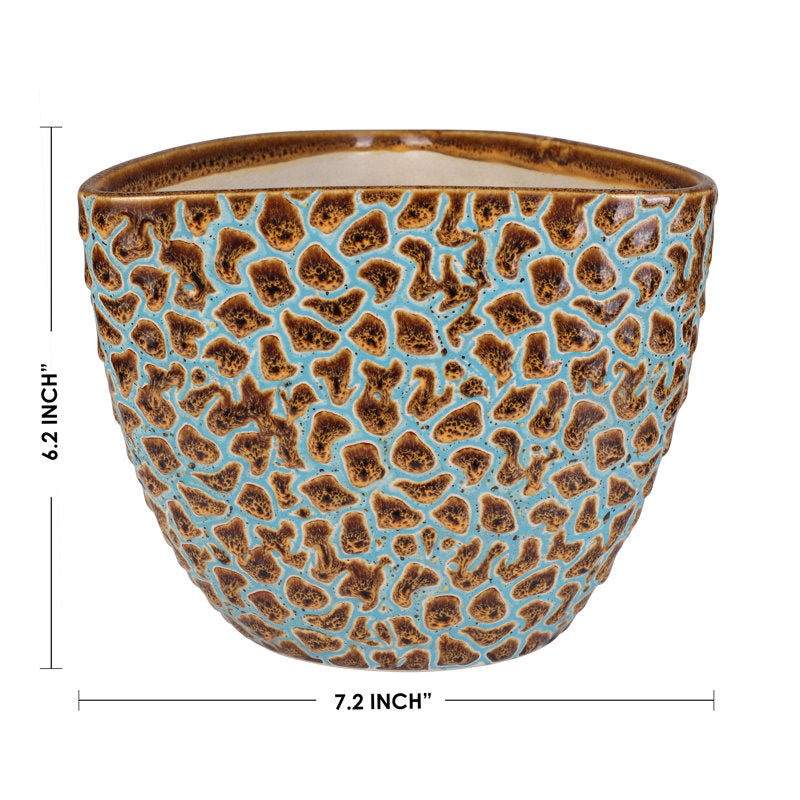 Amirali Ceramic Pot Planter