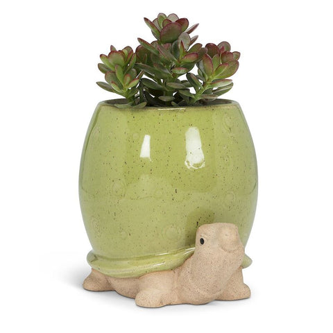 Caruthers Ceramic Pot Planter