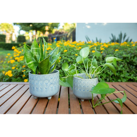 Ivory Escarlett Ceramic Pot Planter