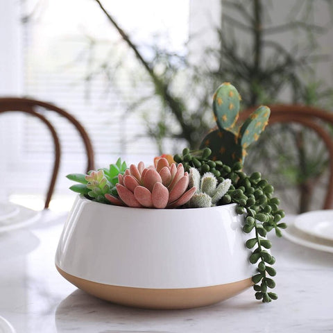 Nashwa Ceramic Planter