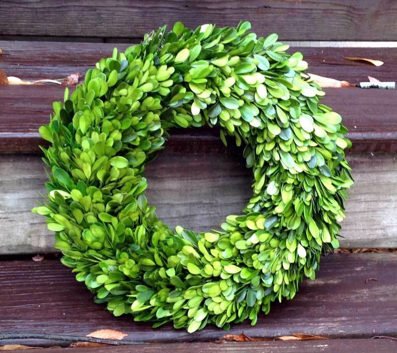 Preserved Boxwood Wreath