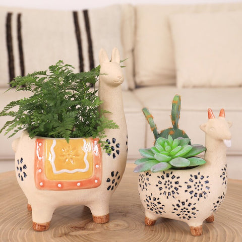 Rolen Ceramic Planter (Set of 2)