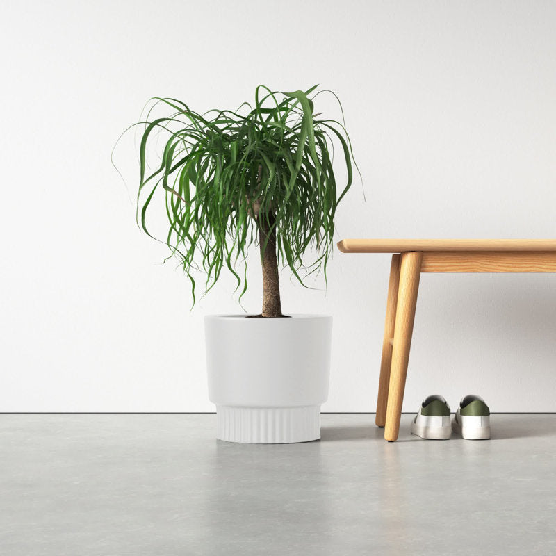 Thea Handmade Ceramic Planter