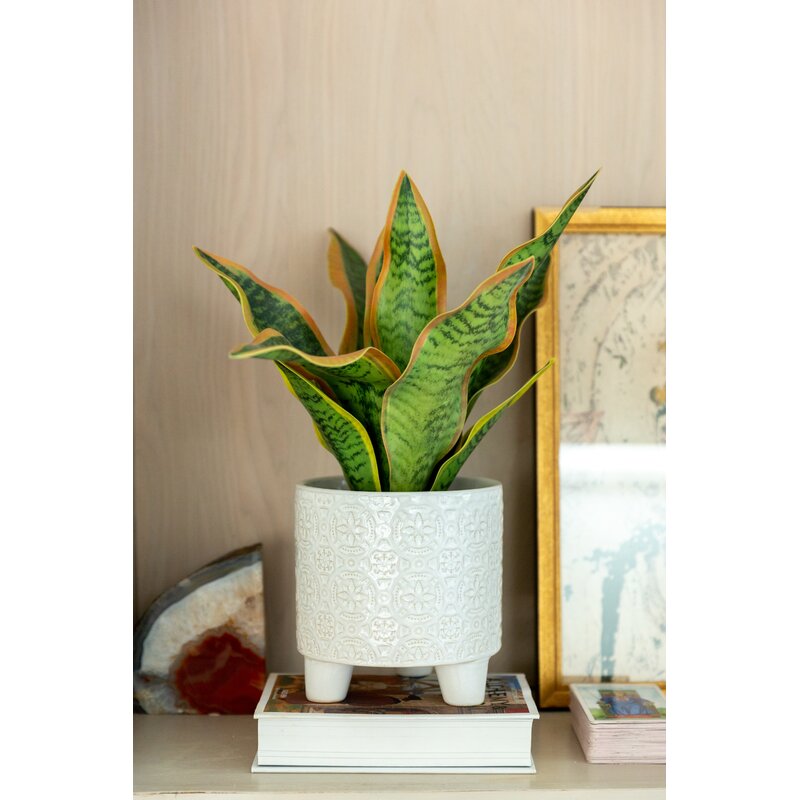 Wilbanks Ceramic Pot Planter