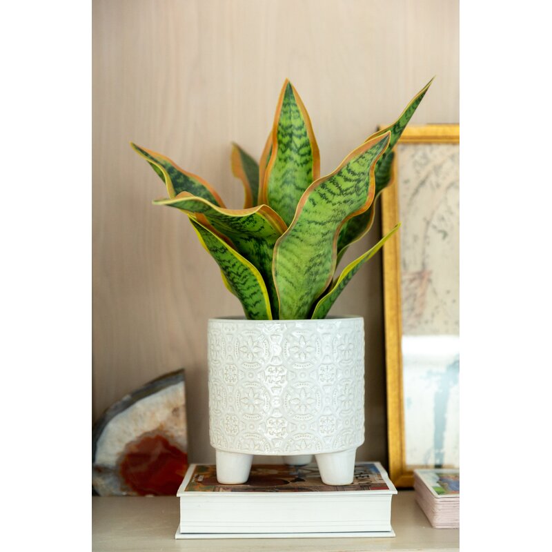 Wilbanks Ceramic Pot Planter