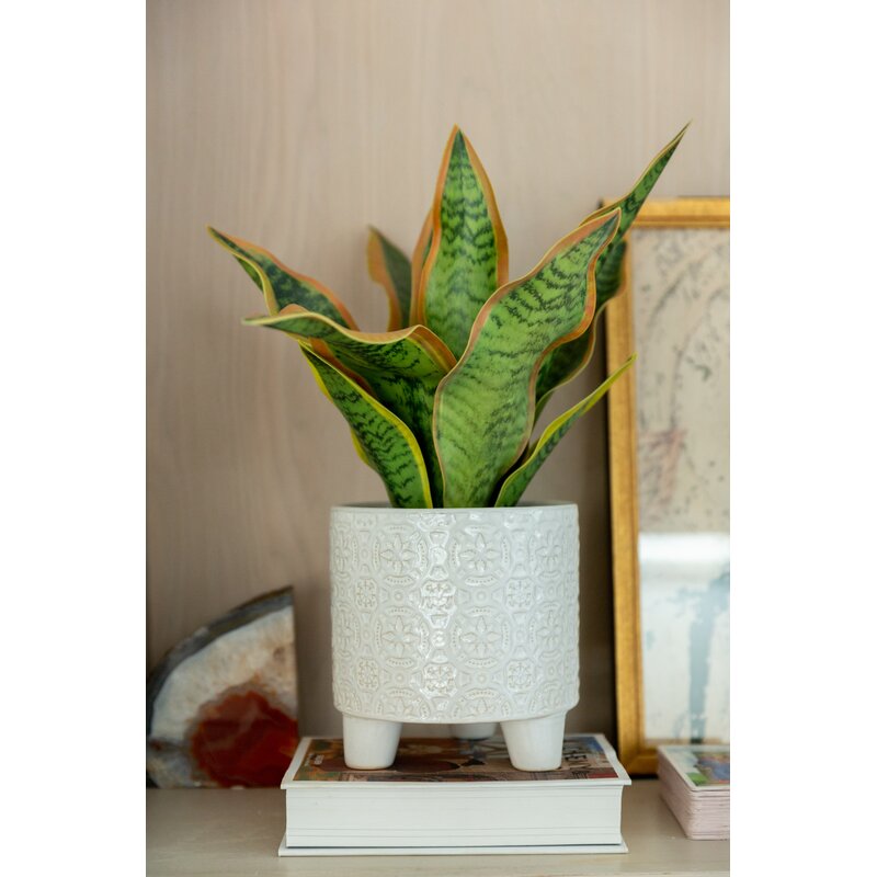 Wilbanks Ceramic Pot Planter