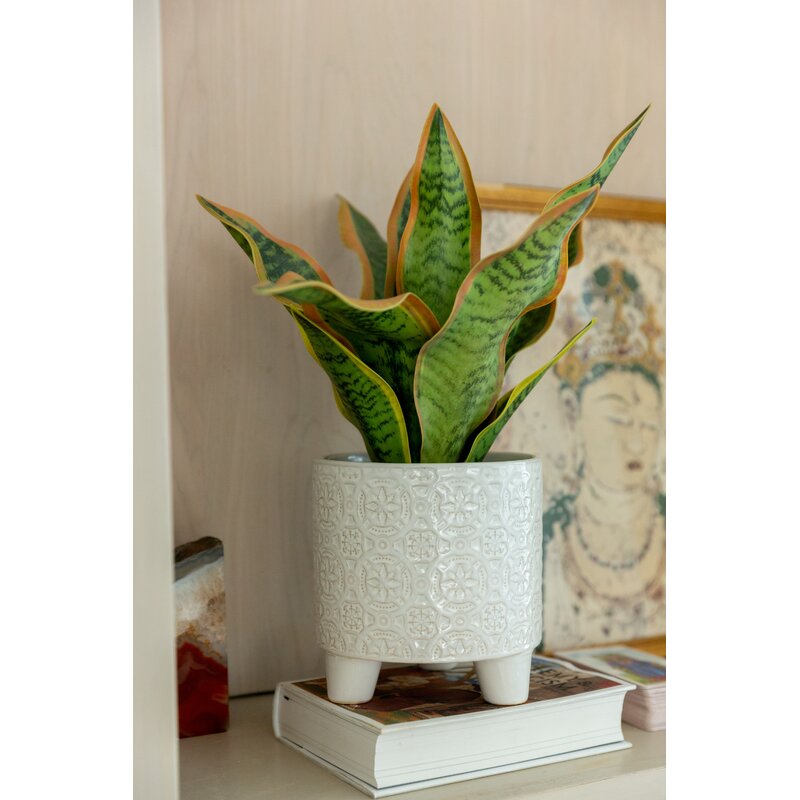 Wilbanks Ceramic Pot Planter